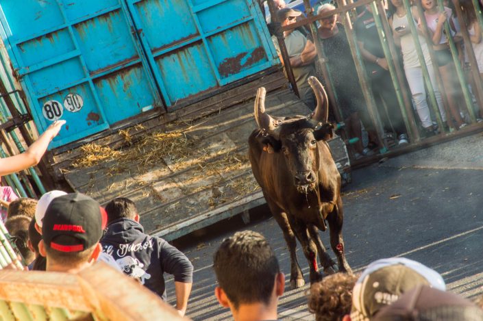 Beaucaire 2017 Encierro Redoute-11