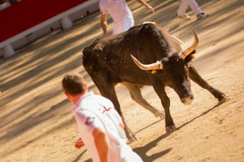 Avant la Palme d’Or ce dimanche : retour en images sur le Muguet d’Or 2017 !