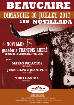 Novillada