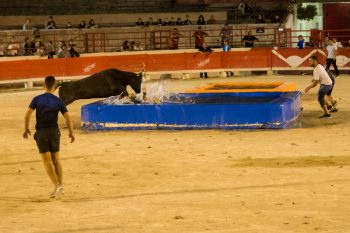 Toro-piscine : les Beaucairois toujours au rendez-vous !