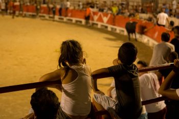 Gros succès pour le toro-piscine du Club Taurin Beaucairois !