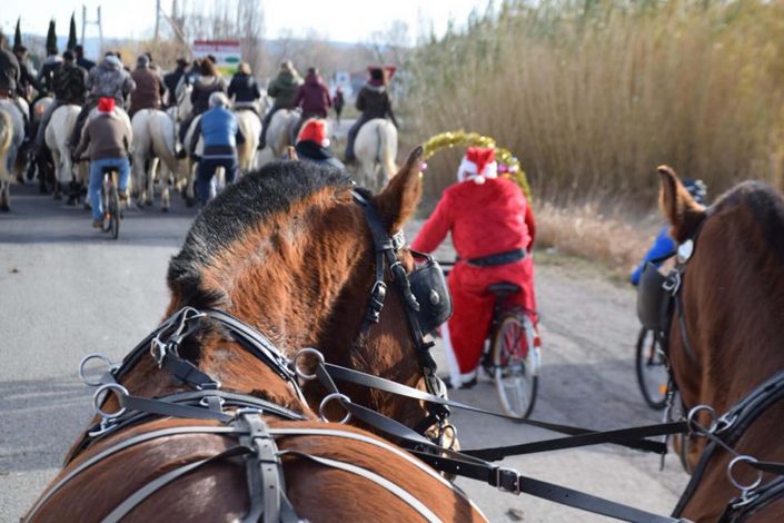Abrivado Carnavalesque de Noël Beaucaire 22