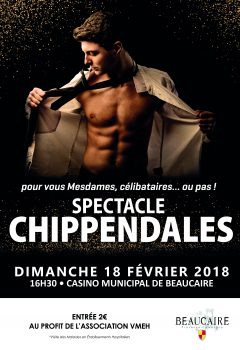 Soirée chippendales