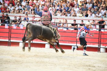 Spectacle de rodéo : le Far-West à Beaucaire !