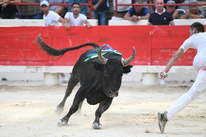 Finale de la palme d’or 2018 beaucaire (31)