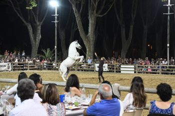 Un beau samedi soir au champ de foire avec un spectacle équestre gratuit suivi d’un bal du 14 juillet