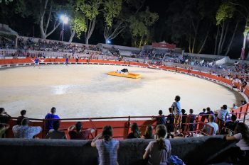 Grand succès pour le toro-piscine du Club Taurin Beaucairois !