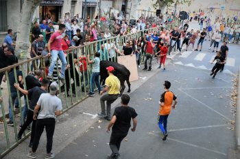 Première édition réussie pour l’encierro de la Brasserie du Château