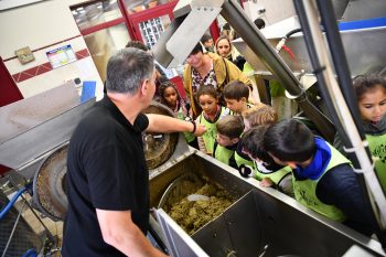 Beaucaire : Les centres aérés municipaux au Moulin à huile Nicolas