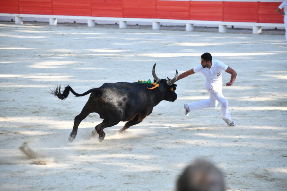 Cadenas vainqueur de la finale 2019 du Muguet d’Or !