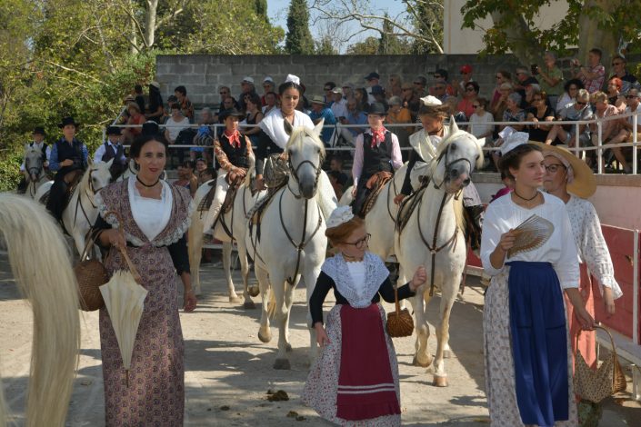 Foire aux chevaux Fourques Beaucaire 01-09-2019 (27)