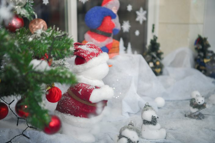 Beaucaire – Creche et Decoration de noel (18)