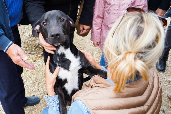 1.Garde_animaliere_beaucaire-07