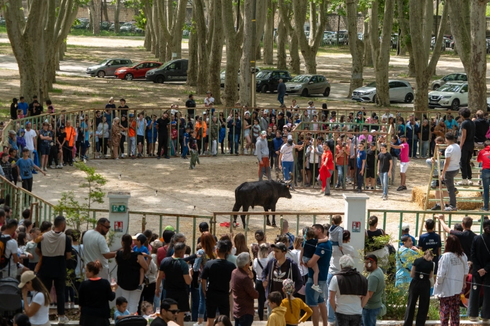 20250504 – Course au plan (22)