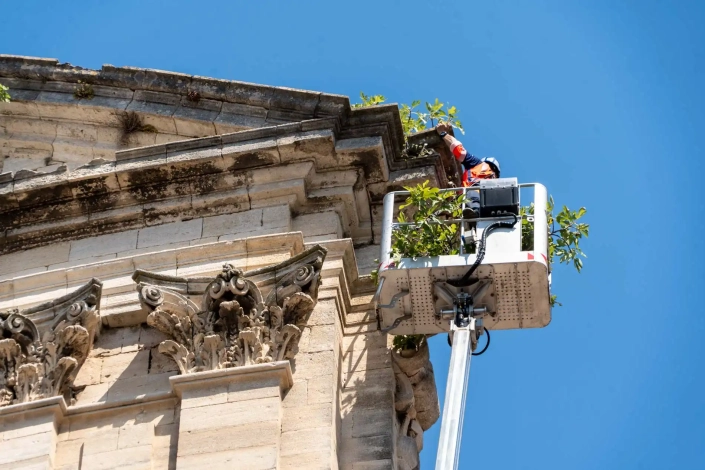 20250630 – Dévégétalisation Notre-Dame – 10