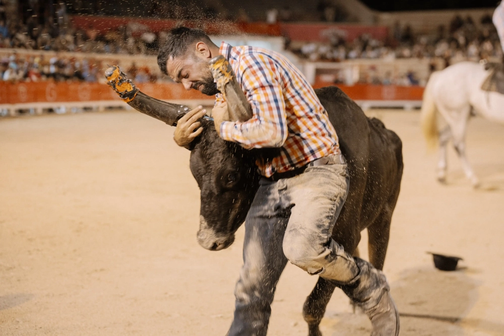 Grand succès pour la 4ᵉ édition des Olympiades Beaucairoises !