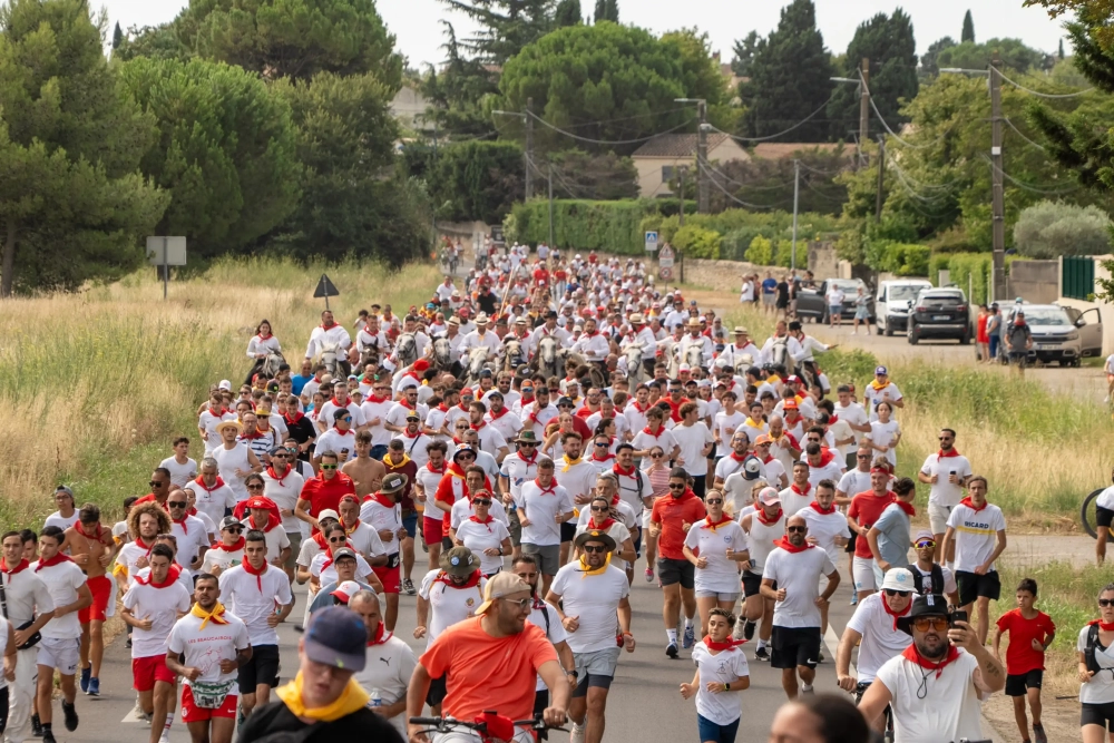 Beaucaire aux couleurs de Pampelune pour une abrivado festive !