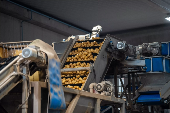 20251010 – BC Pommes de terre (4)