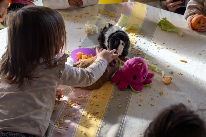 20251128 – Les animaux à la crèche-19