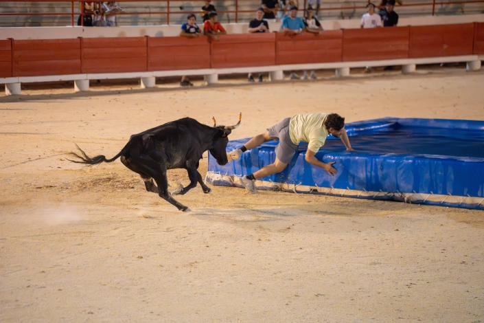 20260708-Toro-piscine-15