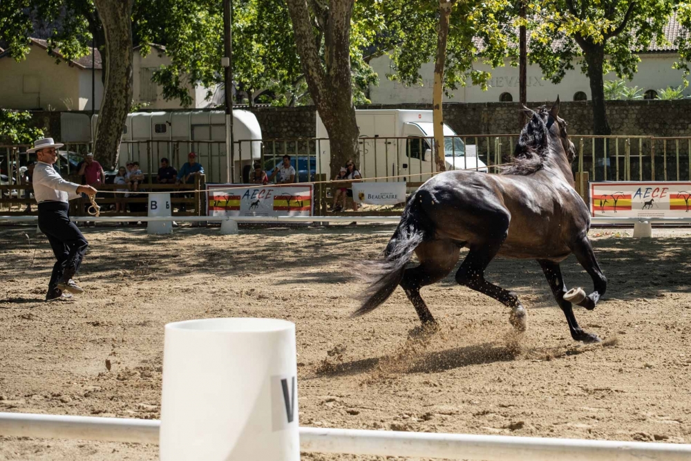 Les Rencontres Équestres 2022 se poursuivent 🐎💥