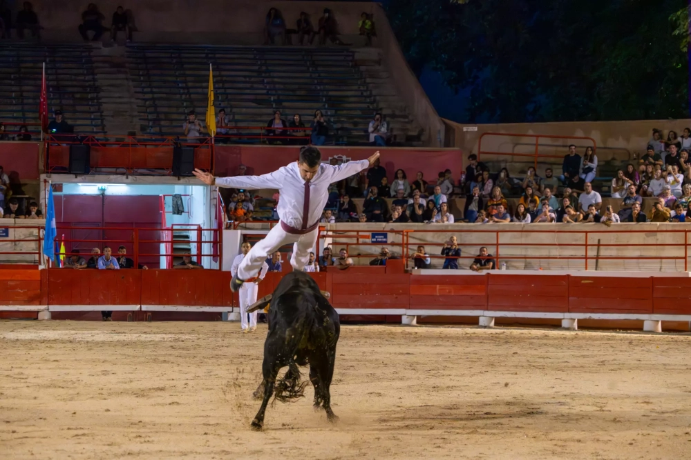 Recortadores & Forcados : Une soirée spectaculaire aux Arènes de Beaucaire !
