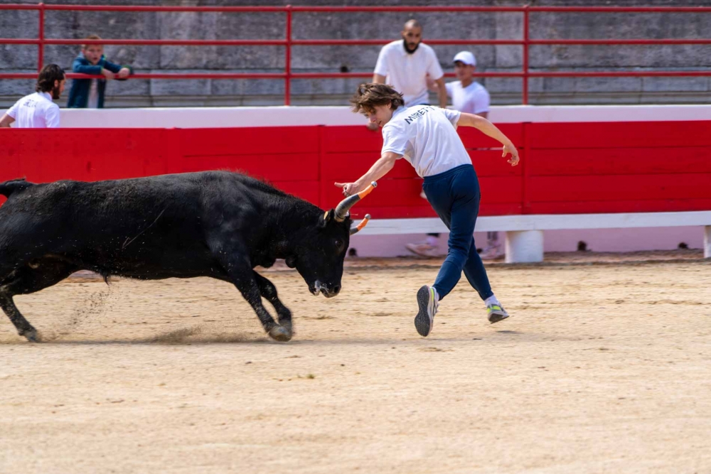 Une course Camarguaise des écoles taurines à Beaucaire !