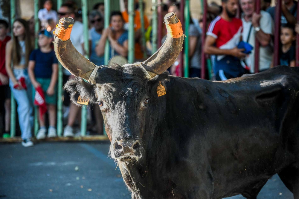 Encierro du Cours Gambetta : une 3ème édition réussie !