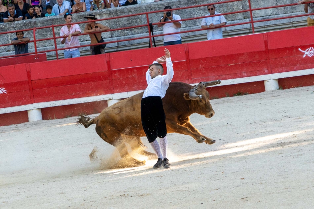 Les Recortadores régalent dans les Arènes de Beaucaire