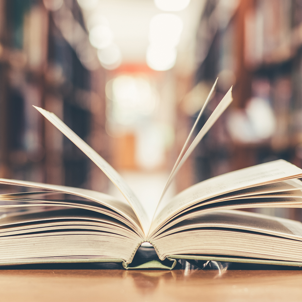 Bibliothèque municipale : Animations du 24 novembre