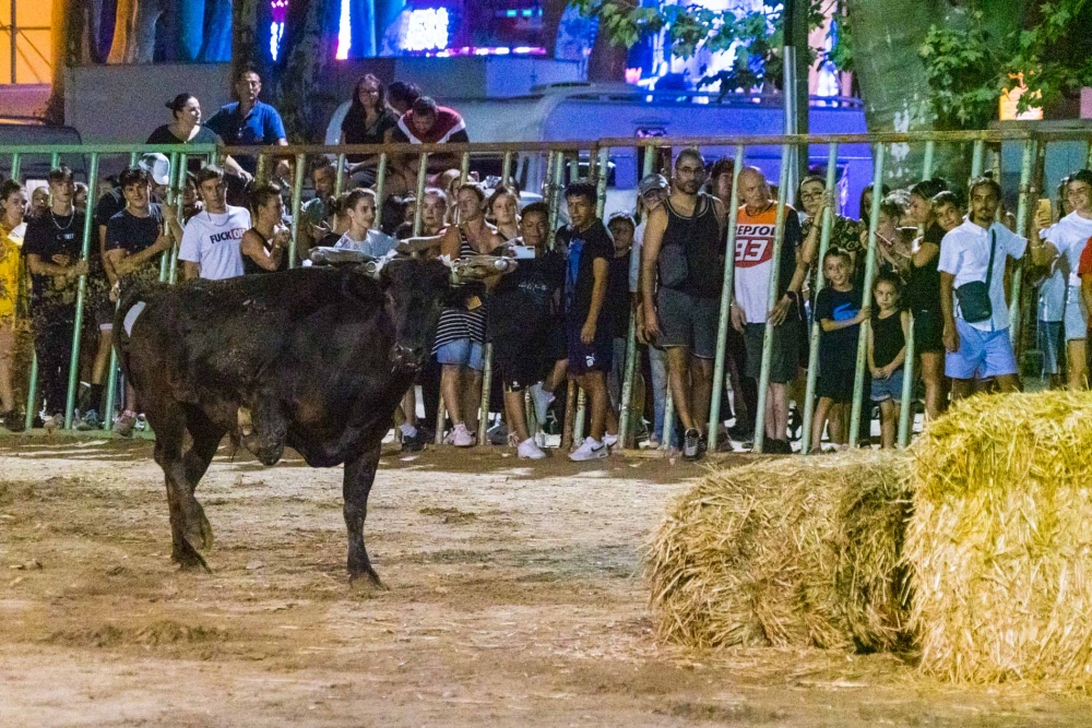 Beaucoup de succès pour les encierros de nuit au Champ de Foire !