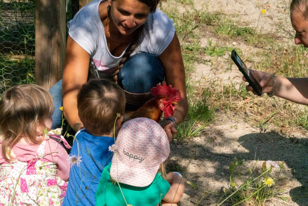 Crèche : La ferme s’invite chez Les enfants d’Hélios