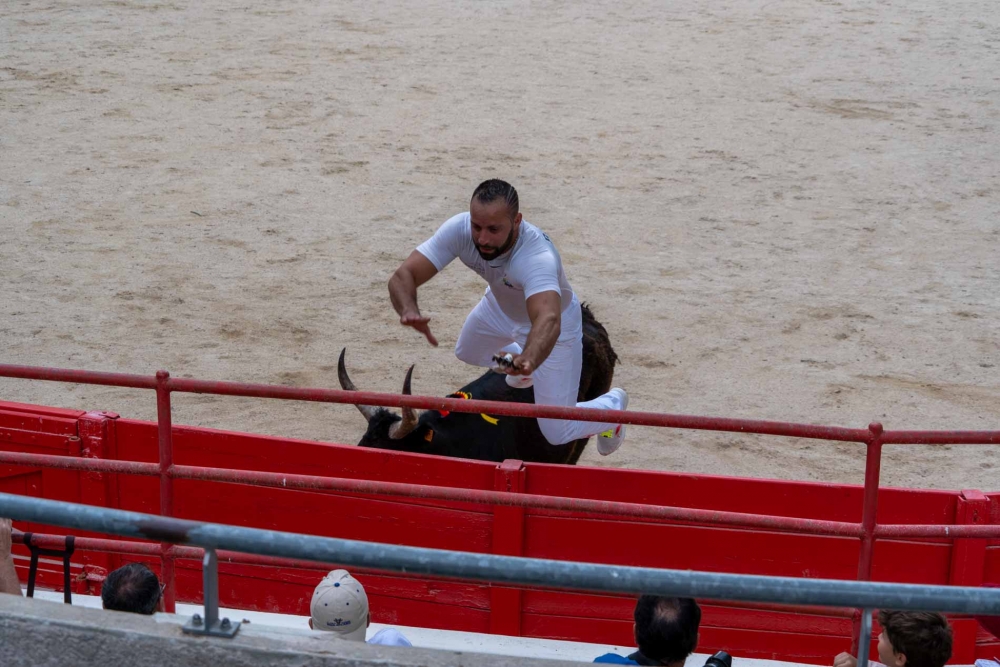 Courses camarguaises : une belle 2ème journée du Muguet d’Or à Beaucaire !